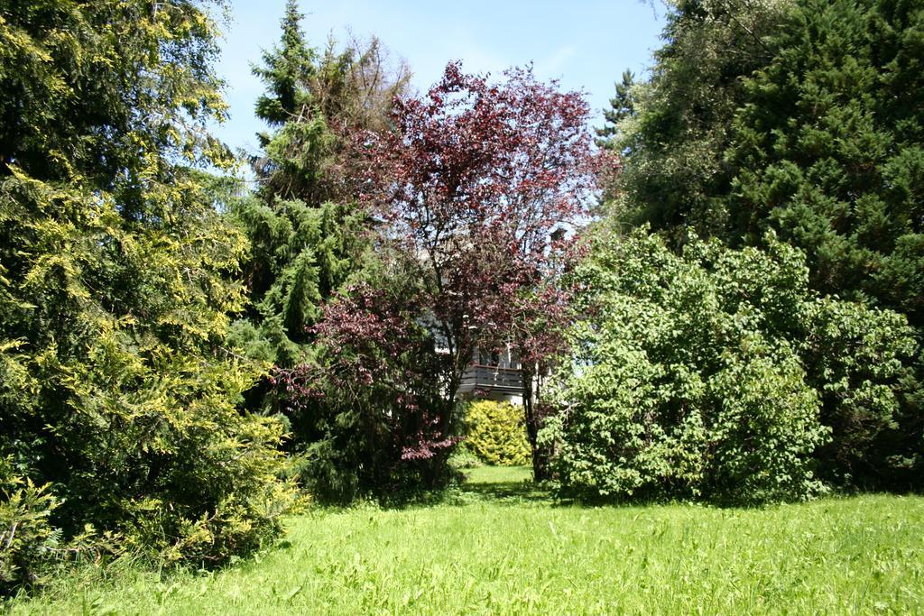 Haus Partale Διαμέρισμα Όμπερσντορφ Εξωτερικό φωτογραφία