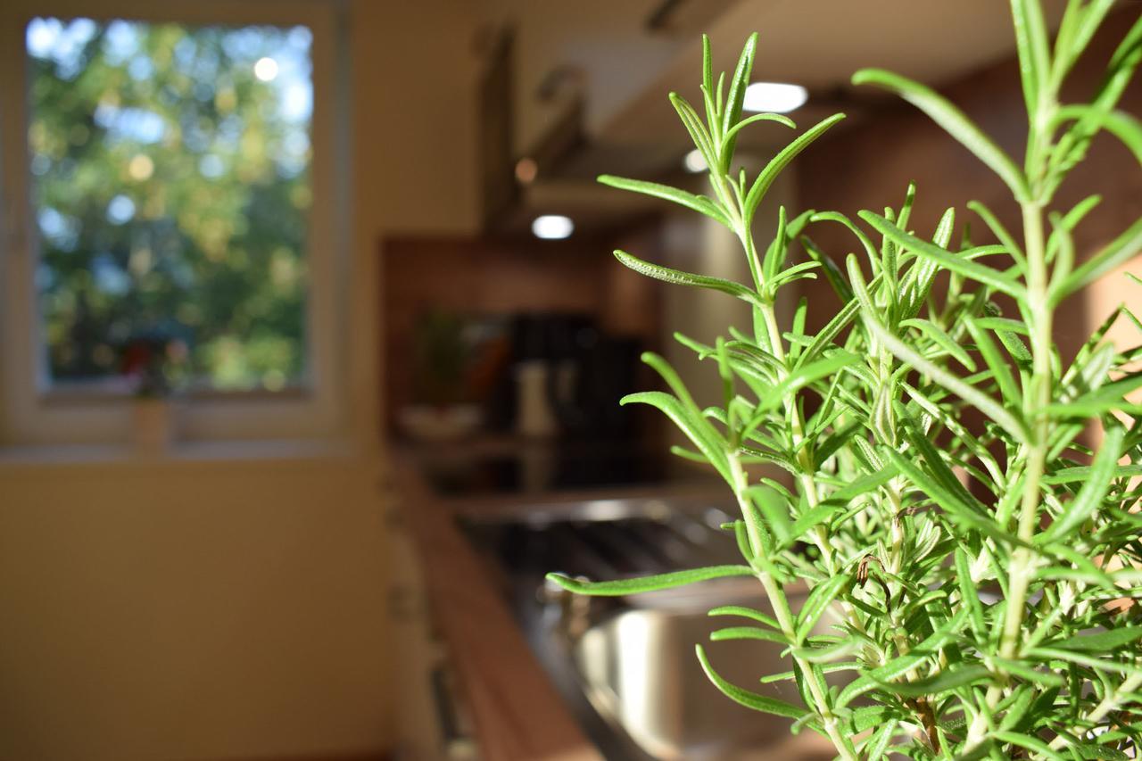 Haus Partale Διαμέρισμα Όμπερσντορφ Εξωτερικό φωτογραφία